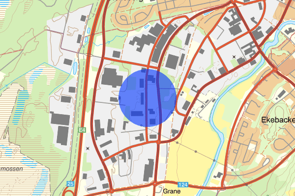 Långgatan 14 februari 23.25, Rattfylleri, Ljungby