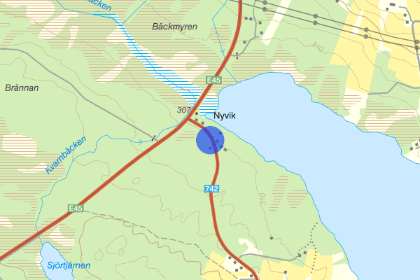 Nyvik 22 mars 20.38, Trafikolycka, vilt, Östersund