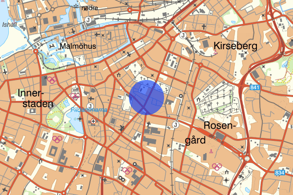 Spånehusvägen 29 mars 01.51, Misshandel, grov, Malmö