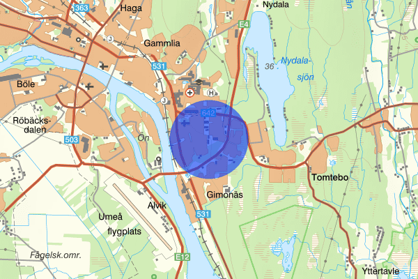 Ålidhem 19 maj 07.54, Misshandel, Umeå