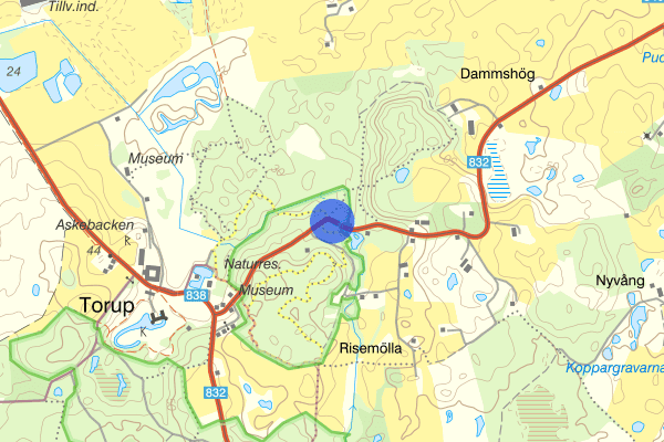 Hyby grindväg 25 maj 02.56, Trafikolycka, Svedala