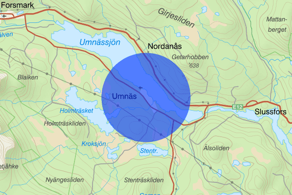 Umnäs 25 maj 11.40, Trafikolycka, vilt, Storuman