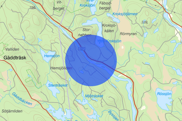 Lillsele 30 maj 11.28, Trafikolycka, vilt, Vindeln