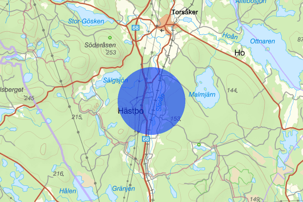 Hästbo 31 maj 06.46, Djur, Hofors