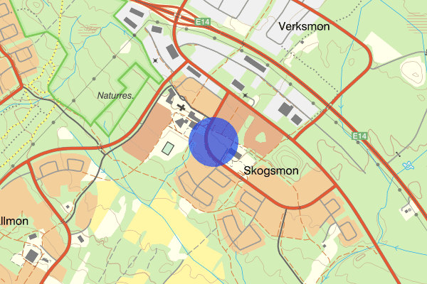 Skogsbruksvägen 18 juni 13.46, Trafikkontroll, Östersund