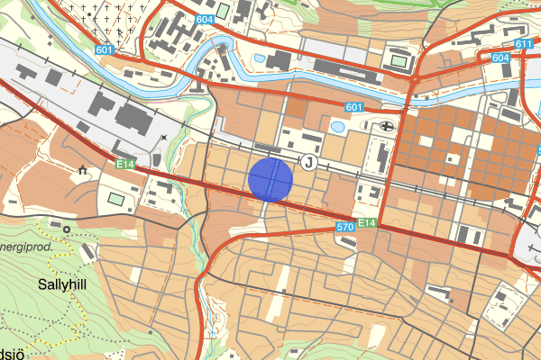 Örnsköldsallén 21 juni 09.44, Trafikkontroll, Sundsvall