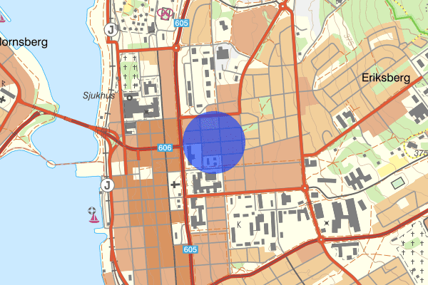 Färjemansgatan 21 juni 11.16, Trafikkontroll, Östersund