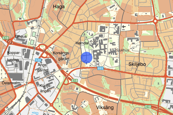 Sjukhuset 12 juli 20.45, Stöld, Västerås