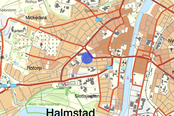 Timmermansgatan 24 juli 18.25, Trafikolycka, Halmstad