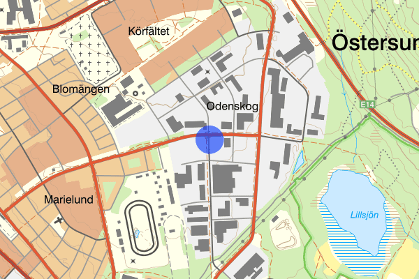 Odenskogsvägen 29 juli 08.57, Trafikkontroll, Östersund