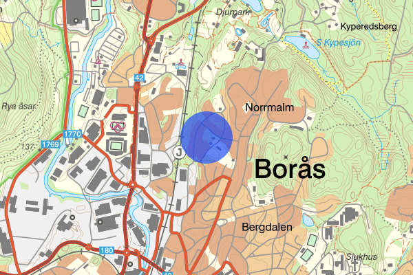 Folkungagatan 15 augusti 17.01, Misshandel, Borås