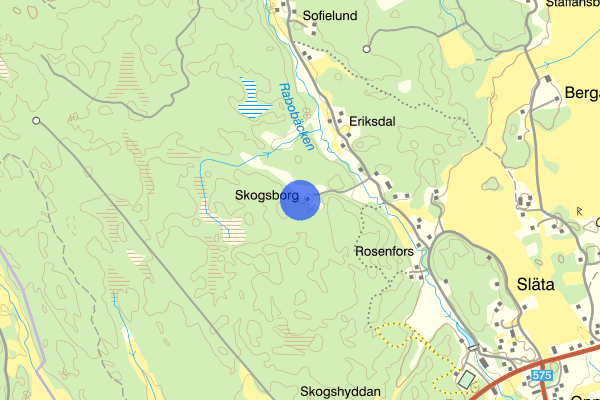 Skogsborg 21 augusti 14.52, Stöld/inbrott, Köping