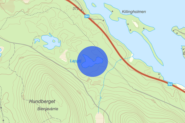 Lapptjärnen 26 augusti 20.33, Trafikolycka, vilt, Arvidsjaur