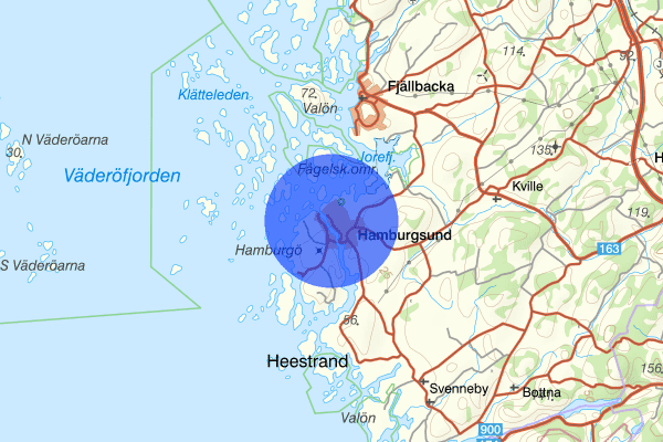 Hamburgsund 31 augusti 15.30, Räddningsinsats, Tanum