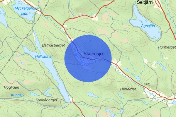 Skalmsjö 01 november 07.09, Trafikolycka, Örnsköldsvik