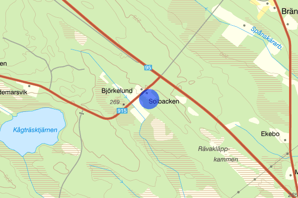 Solbacken 01 november 10.30, Trafikolycka, vilt, Skellefteå