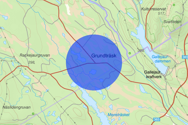 Grundträsk 19 november 10.27, Trafikolycka, vilt, Malå