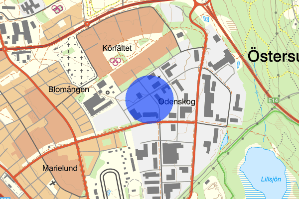 Odenskogsvägen 04 mars 19.14, Stöld, Östersund