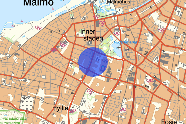 Lorensborg 12 maj 16.55, Stöld, Malmö