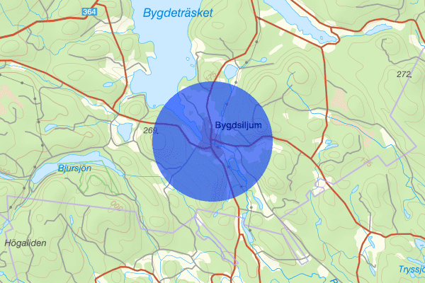 Bygdsiljum 17 mars 10:11, Trafikolycka, Skellefteå