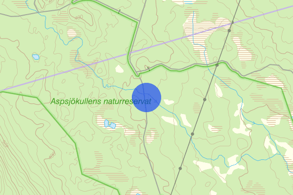 Skovelsjövägen 17 mars 15:27, Trafikolycka, Åsele