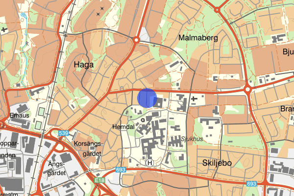 Plåtslagargatan 25 mars 01:00, Misshandel, Västerås