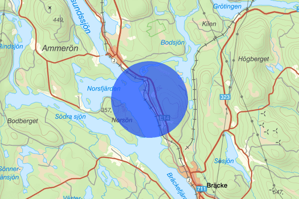 Mordviken 26 maj 16:44, Trafikbrott, Bräcke