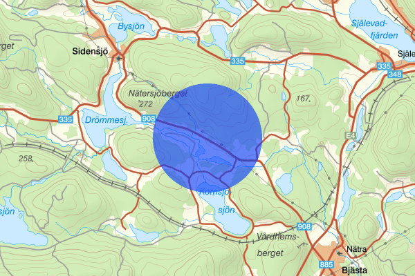 Västersel 06 juni 17:51, Trafikolycka, vilt, Örnsköldsvik