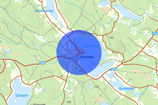 Burträsk 13 juni 10:44, Trafikolycka, vilt, Skellefteå