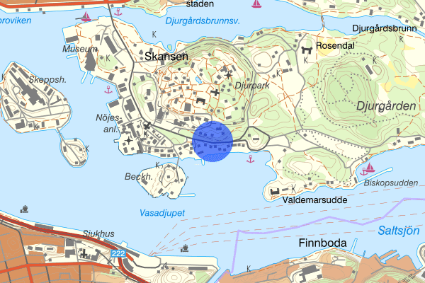 Djurgårdsvägen 17 juni 15:41, Djur, Stockholm