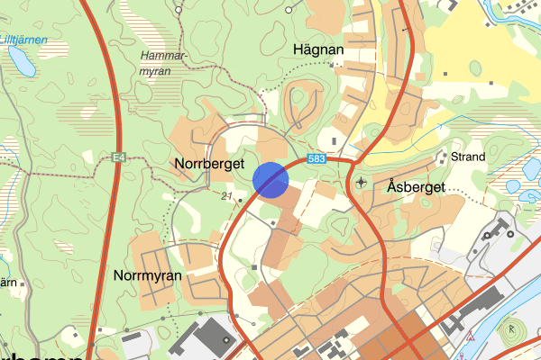 Enriset 18 juni 18:15, Försvunnen person, Söderhamn