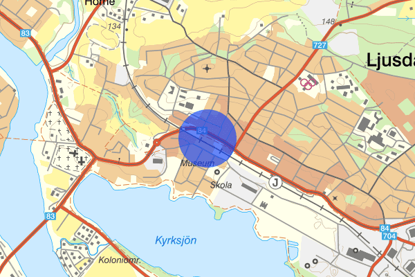 Norra Järnvägsgatan 12 juli 03:04, Stöld/inbrott, Ljusdal