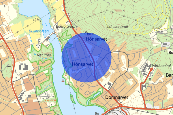 Hönsarvsgatan 26 juli 21:55, Försvunnen person, Borlänge