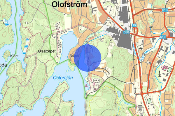 Strandvägen 29 juli 03:20, Misshandel, grov, Olofström