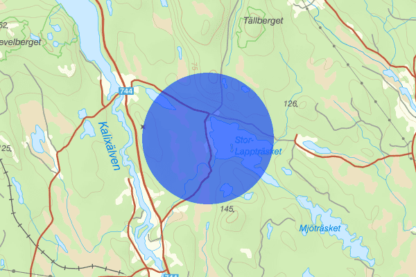 Stora Lappträsk 12 augusti 10:28, Trafikolycka, vilt, Kalix