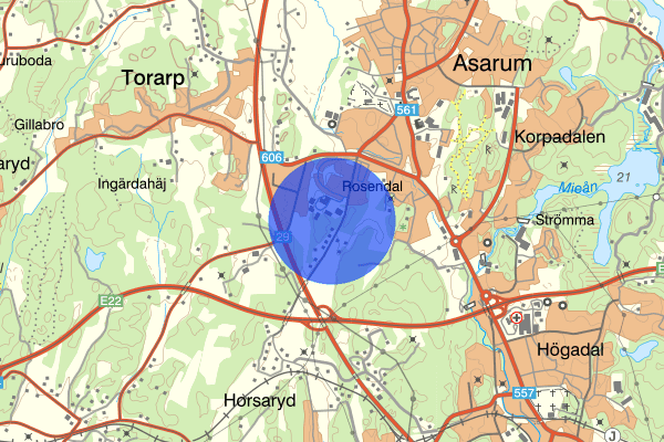 Rosendalsvägen 02 oktober 21:50, Trafikolycka, singel, Karlshamn