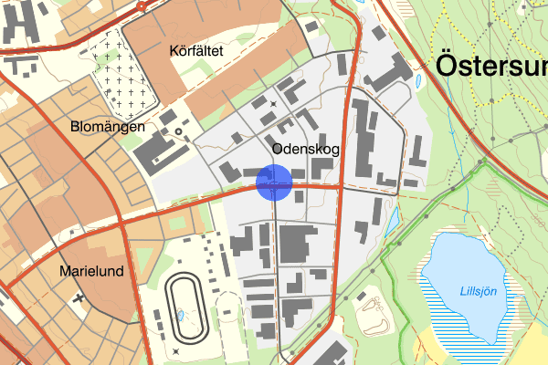 Odenskogsvägen 18 november 13.43, Stöld, Östersund