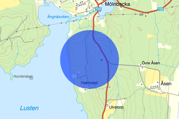 Halmstadsvägen 18 december 10.53, Bedrägeri, Halmstad